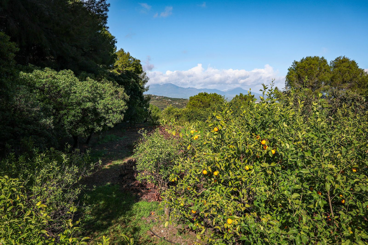 Huis te koop in Alhaurín el Grande | 5 slaapkamers H5310034