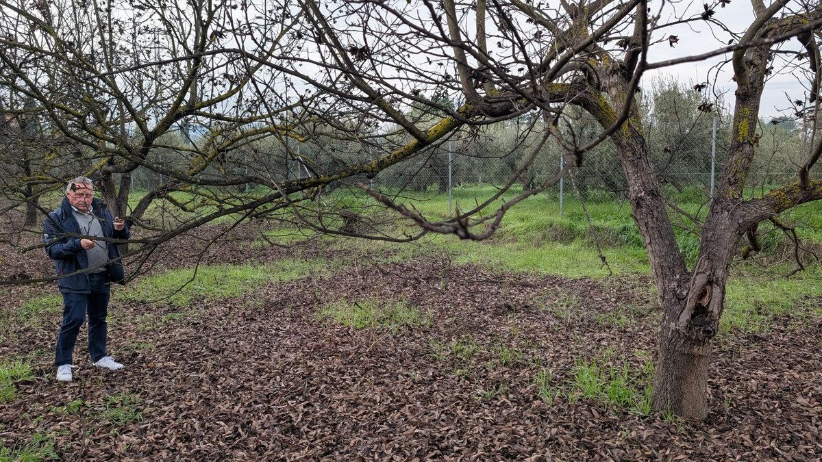 Appartement te koop in Alhaurín el Grande | 0 slaapkamers H5315746