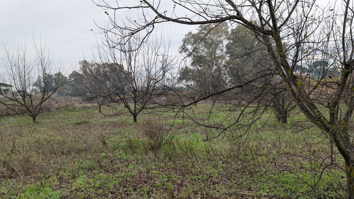 Appartement te koop in Alhaurín el Grande | 0 slaapkamers H5315746