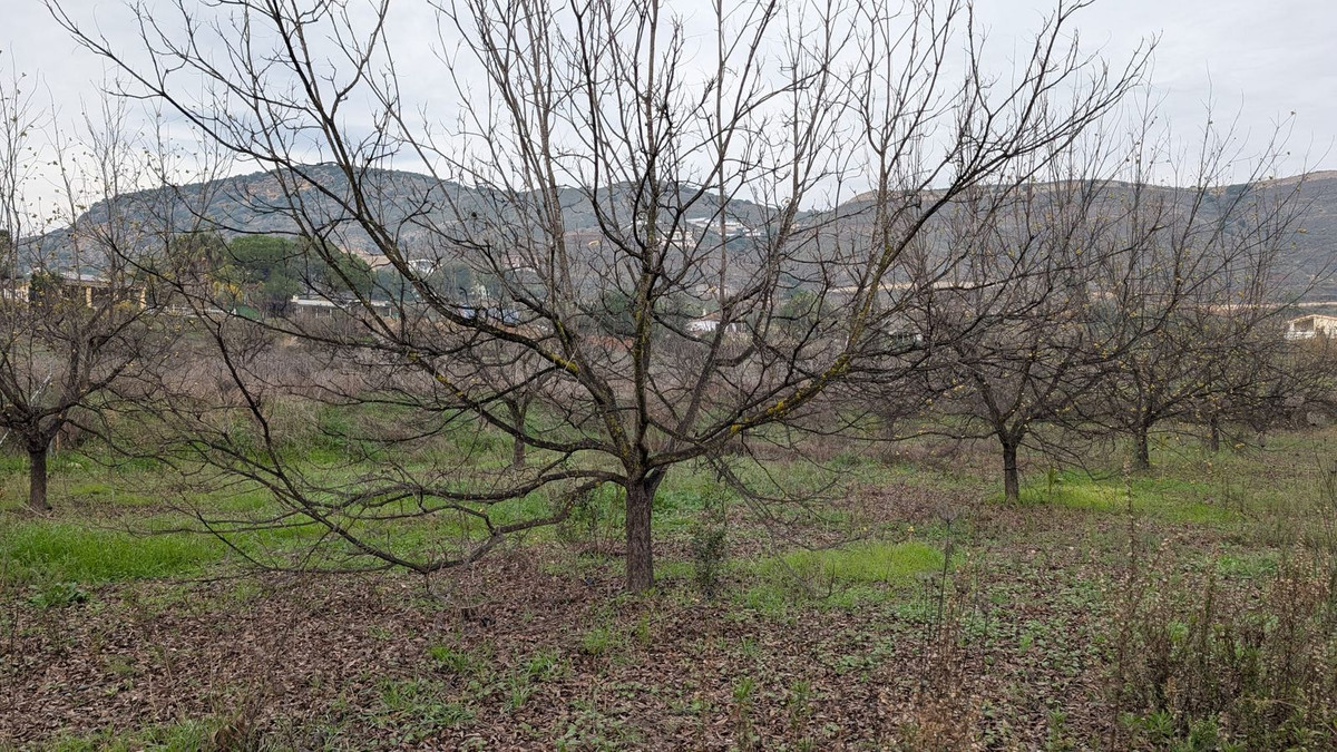 Appartement te koop in Alhaurín el Grande | 0 slaapkamers H5315746