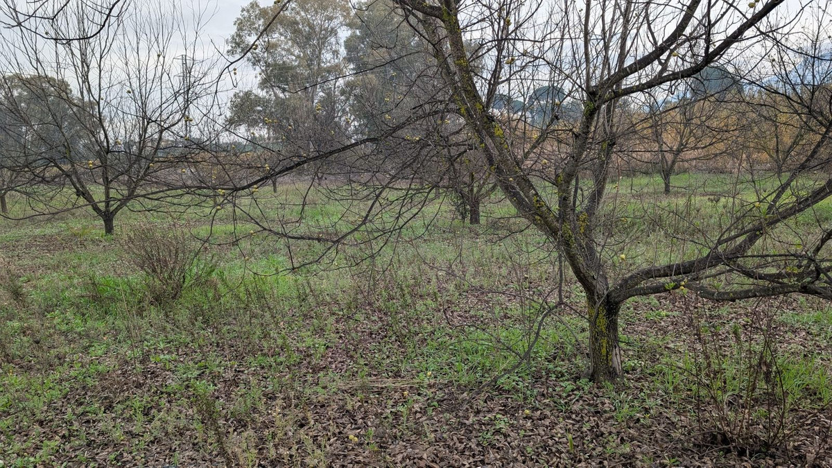 Appartement te koop in Alhaurín el Grande | 0 slaapkamers H5315746