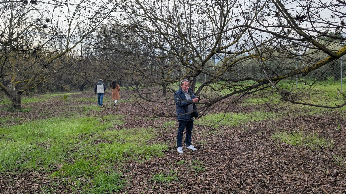 Appartement te koop in Alhaurín el Grande | 0 slaapkamers H5315746