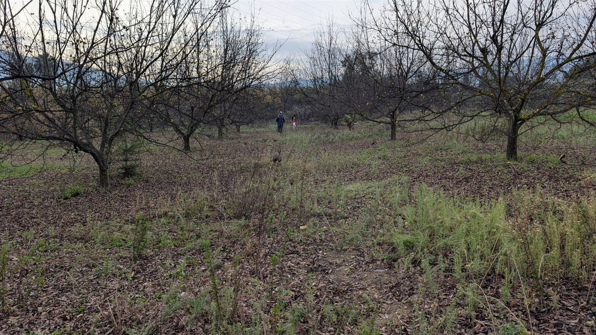 Appartement te koop in Alhaurín el Grande | 0 slaapkamers H5315746