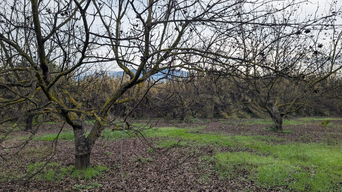 Appartement te koop in Alhaurín el Grande | 0 slaapkamers H5315746