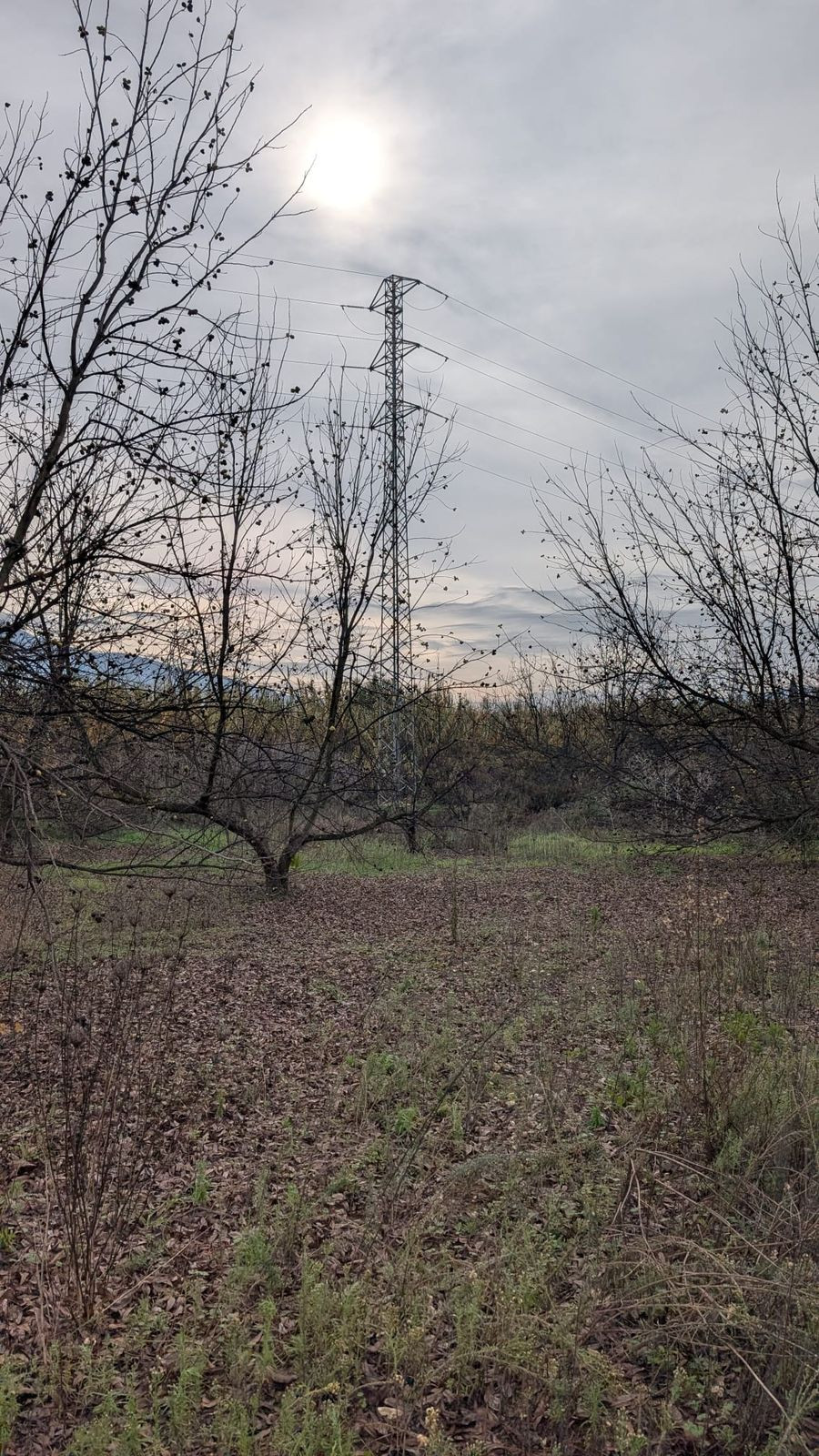 Appartement te koop in Alhaurín el Grande | 0 slaapkamers H5315746