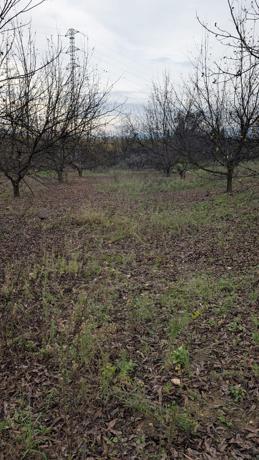 Appartement te koop in Alhaurín el Grande | 0 slaapkamers H5315746