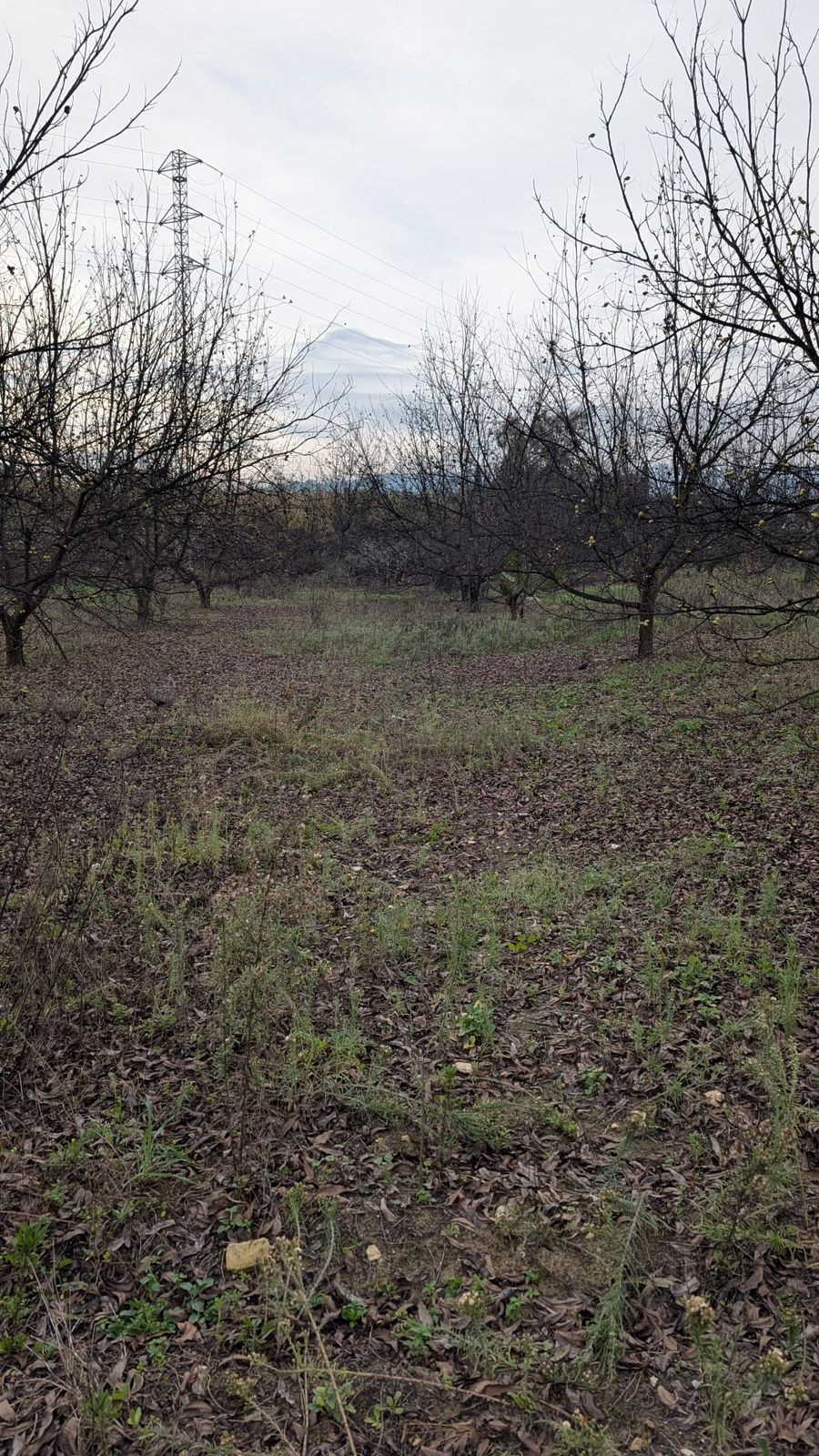 Appartement te koop in Alhaurín el Grande | 0 slaapkamers H5315746