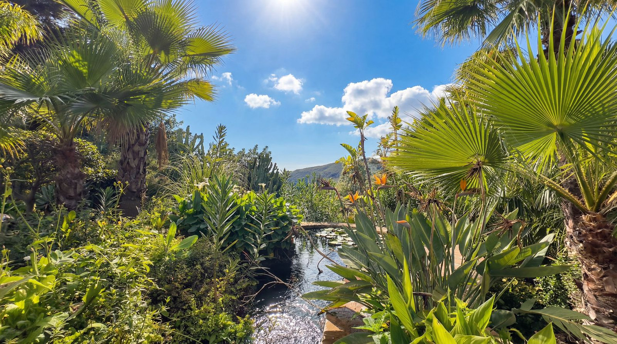 Property main view 43