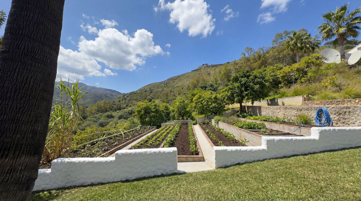 Property main view 48