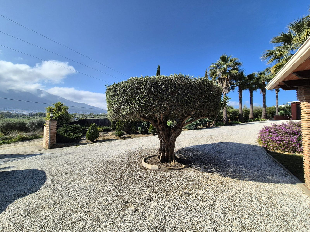 Property main view 29