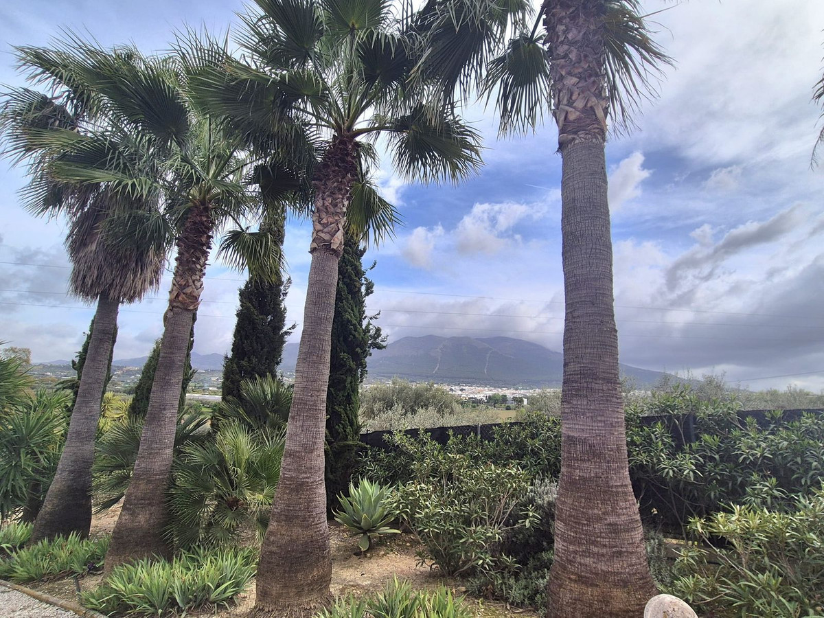 Property main view 51