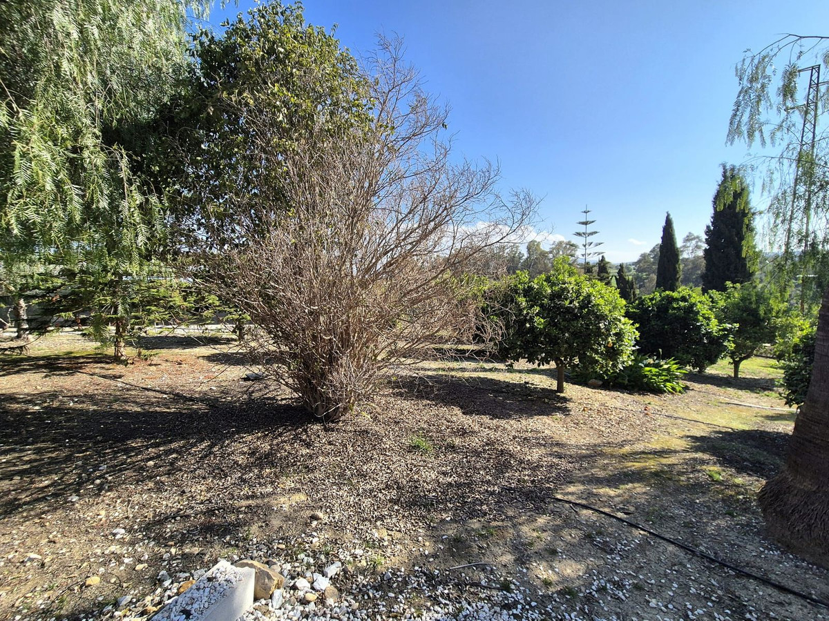 Property main view 52