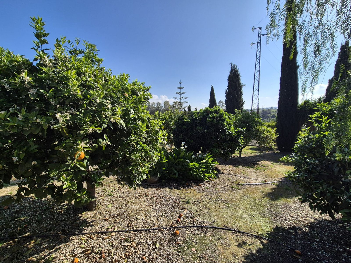 Property main view 53