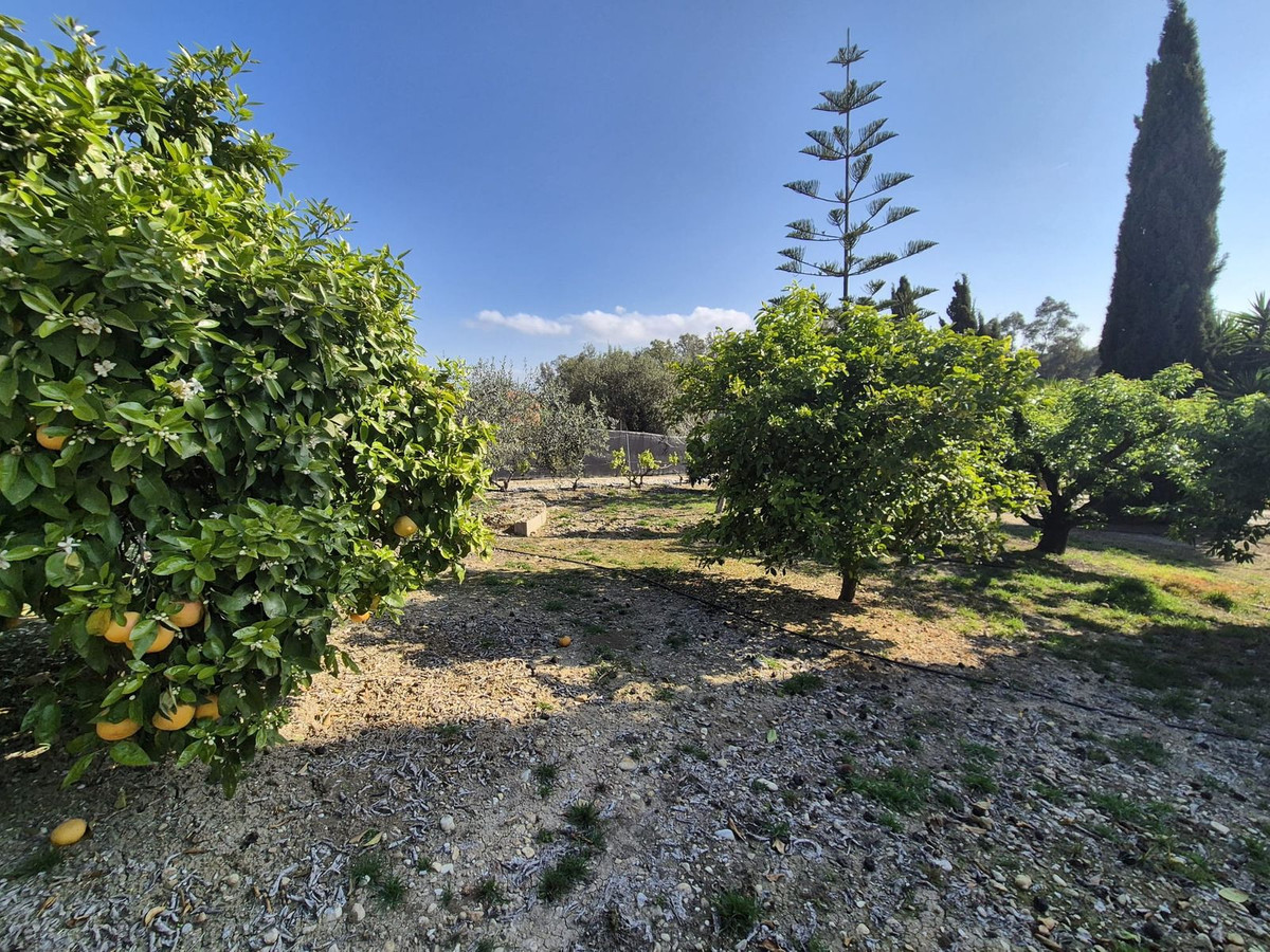 Property main view 55