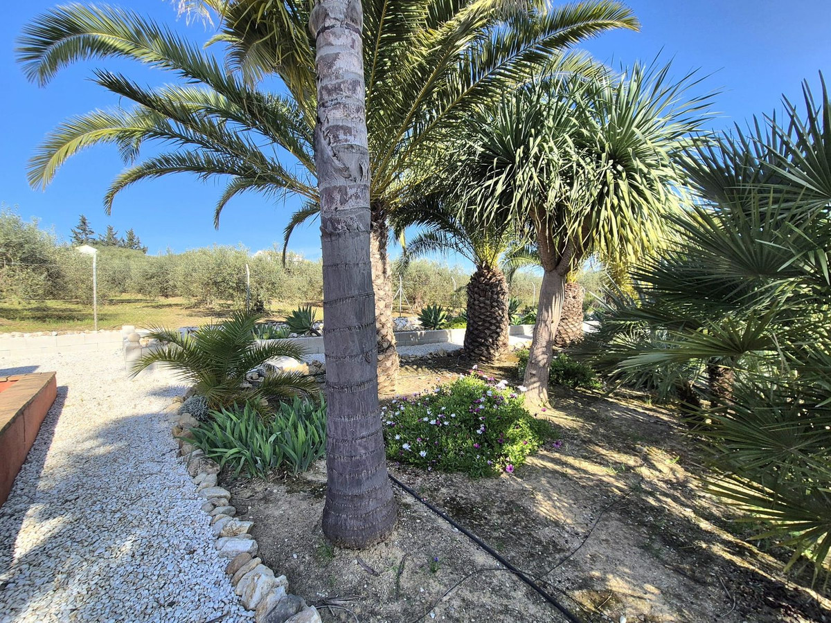 Property main view 56