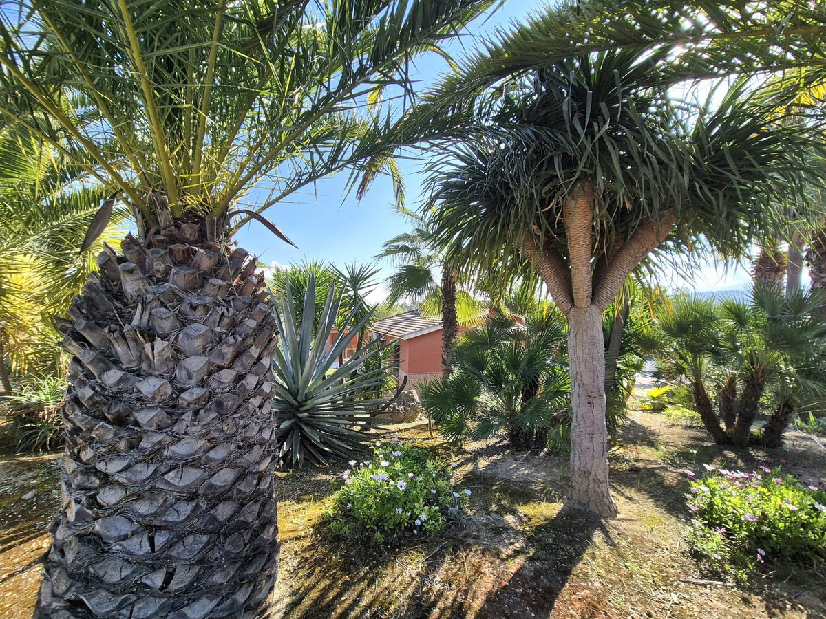 Property main view 57