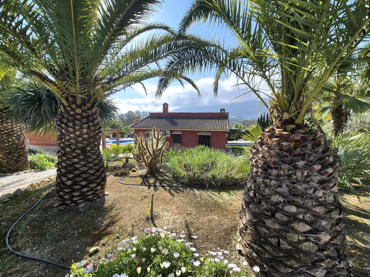 Property main view 60