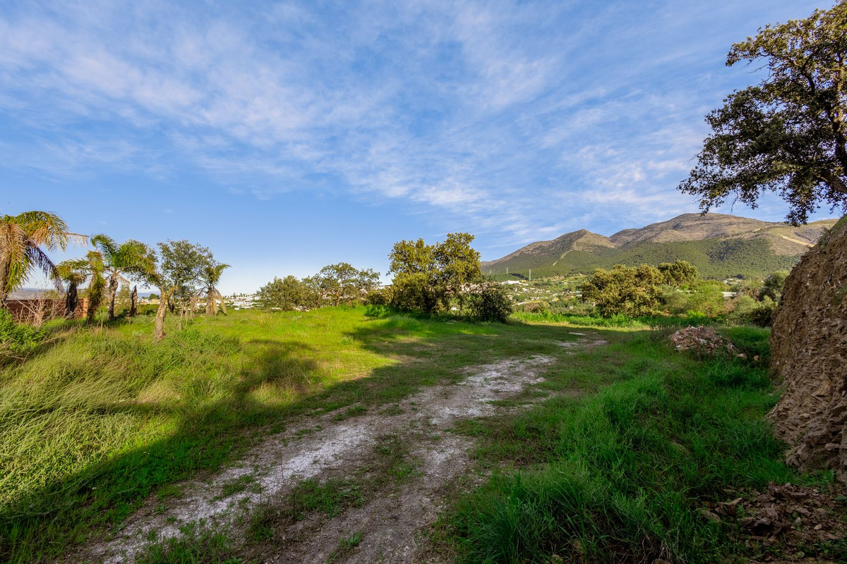 Property main view 61