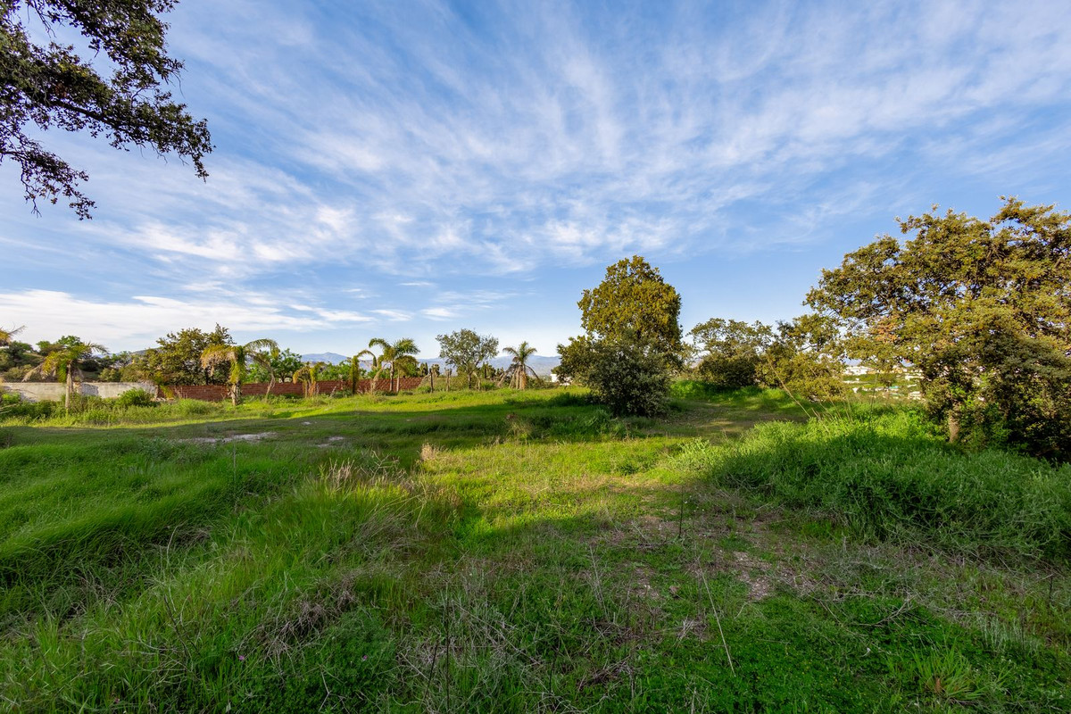 Property main view 62