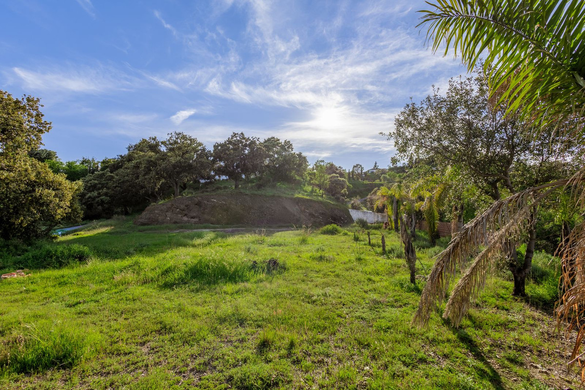 Property main view 63