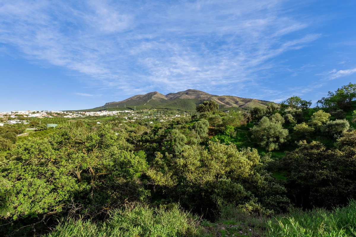 Property main view 65