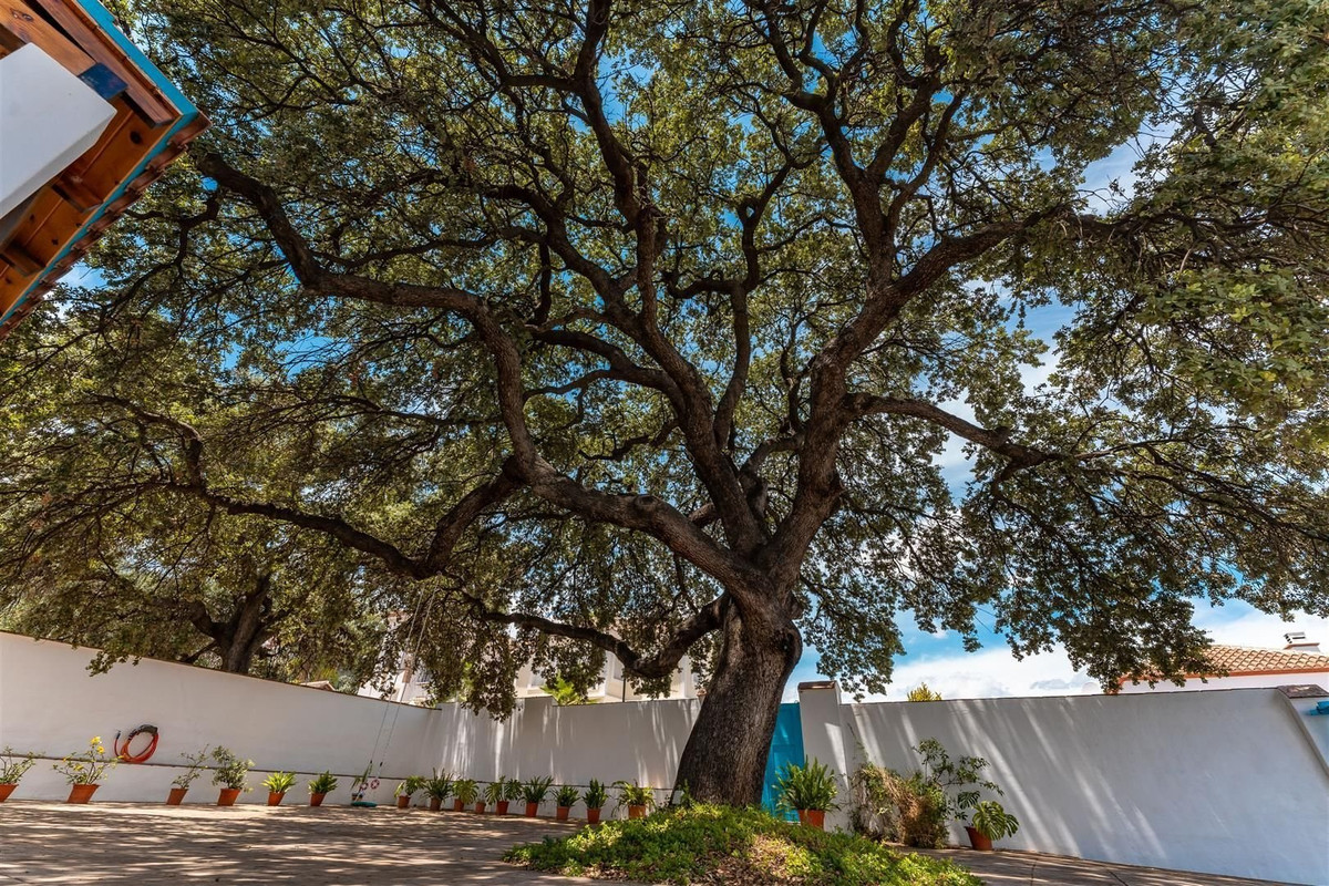 Property main view 42