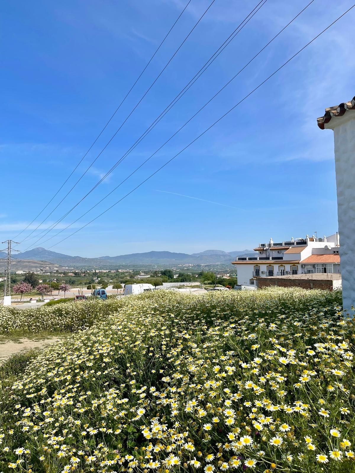 Property main view 2