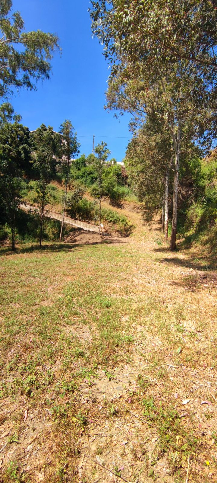 Property main view 42