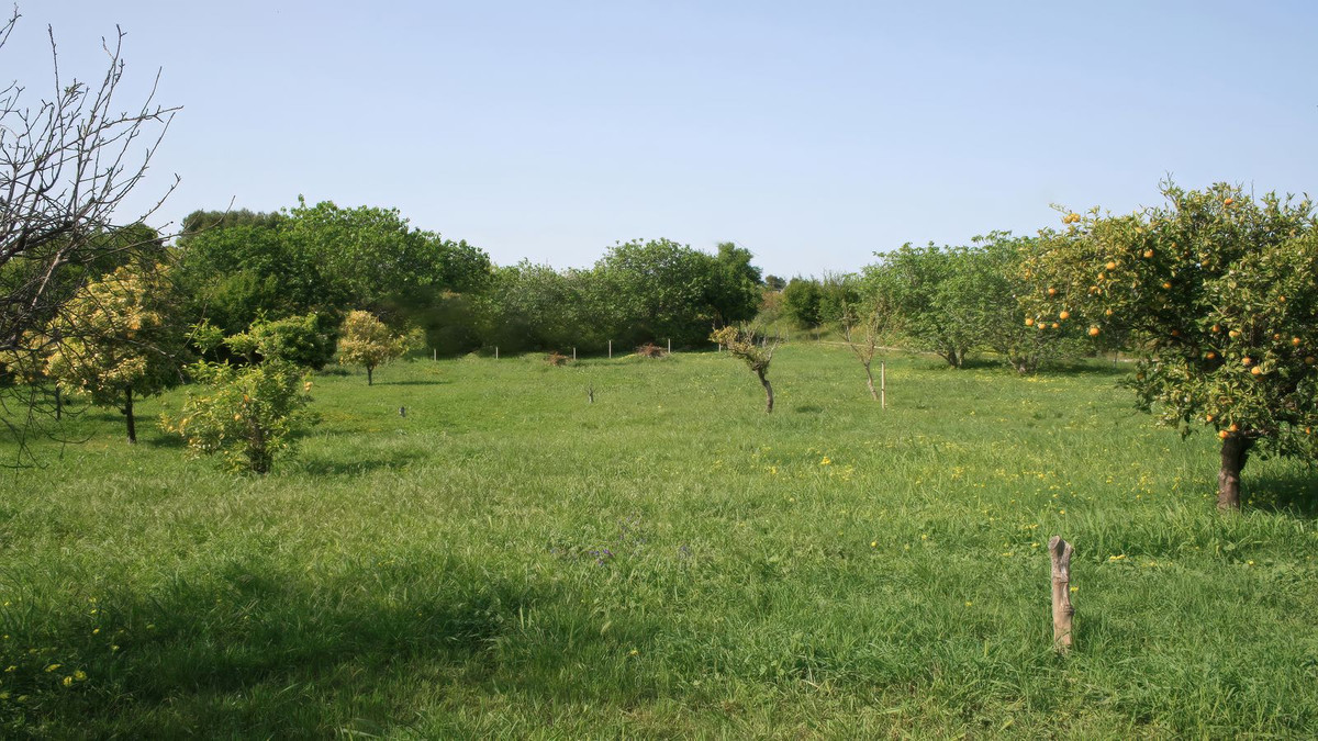 Huis te koop in Alhaurín el Grande | 3 slaapkamers H5378935