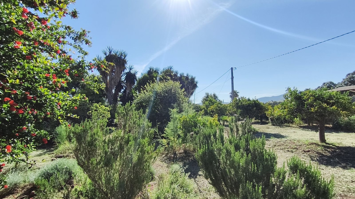 Huis te koop in Alhaurín el Grande | 3 slaapkamers H5388754