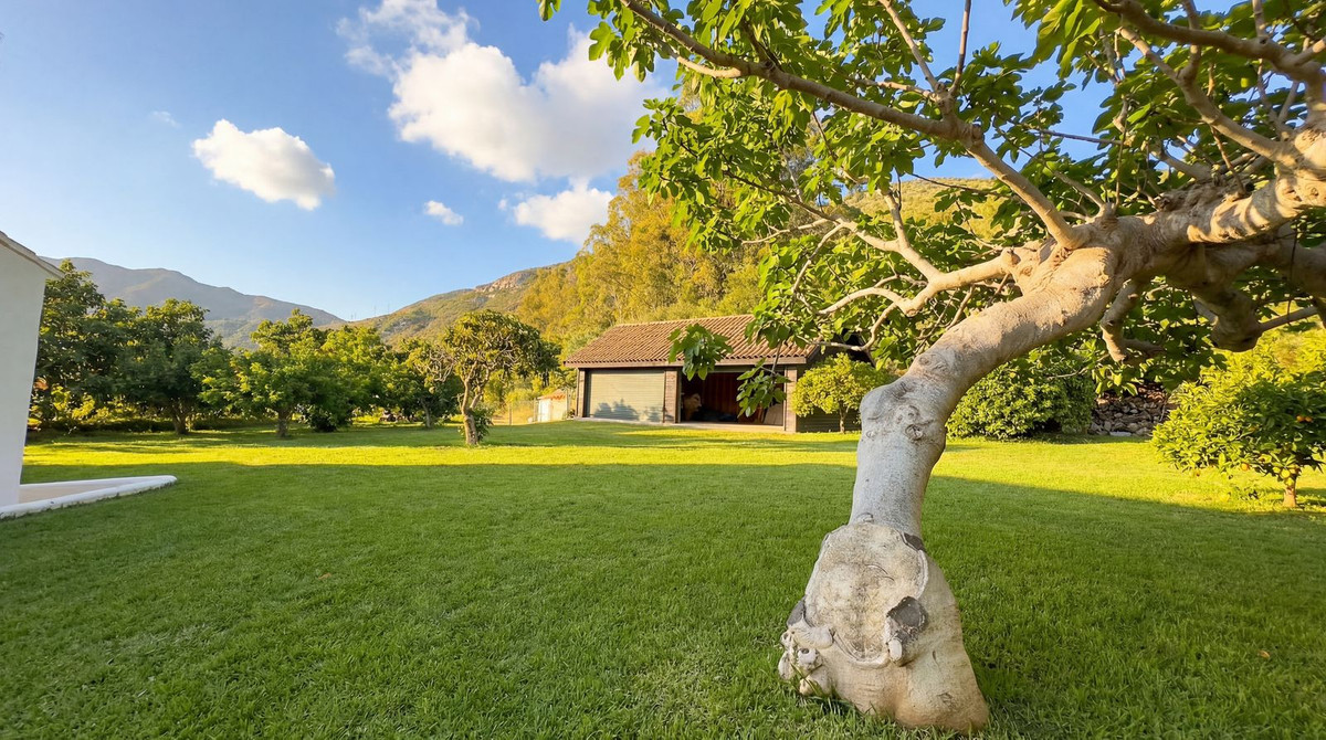 Property main view 40