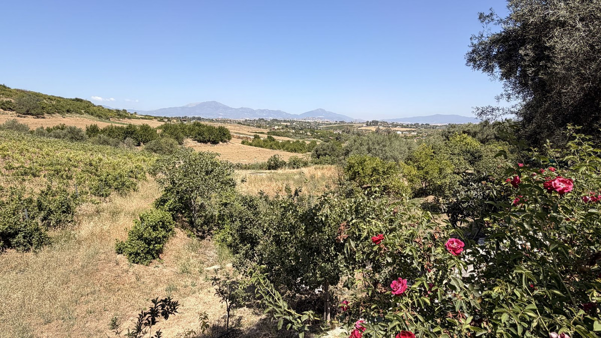 Property main view 26