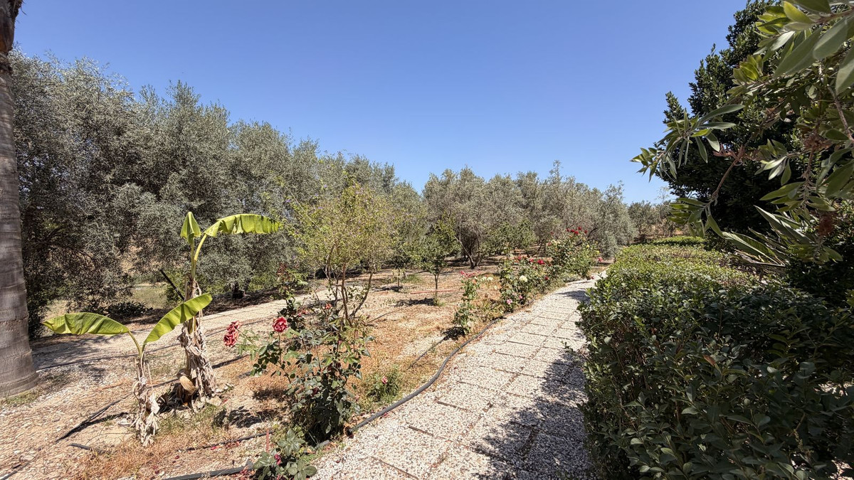 Property main view 27