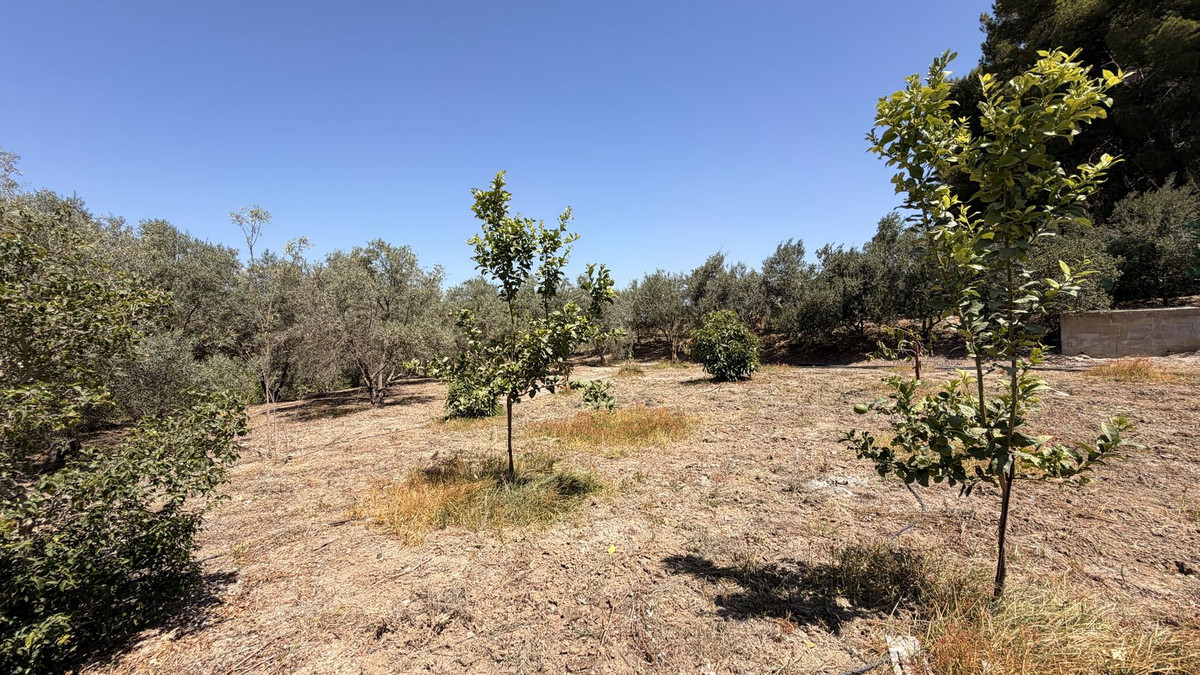Property main view 28