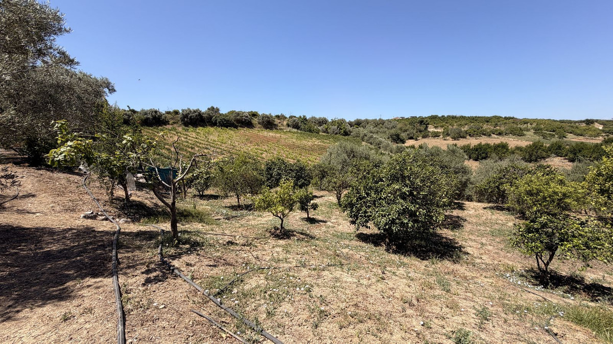Property main view 29