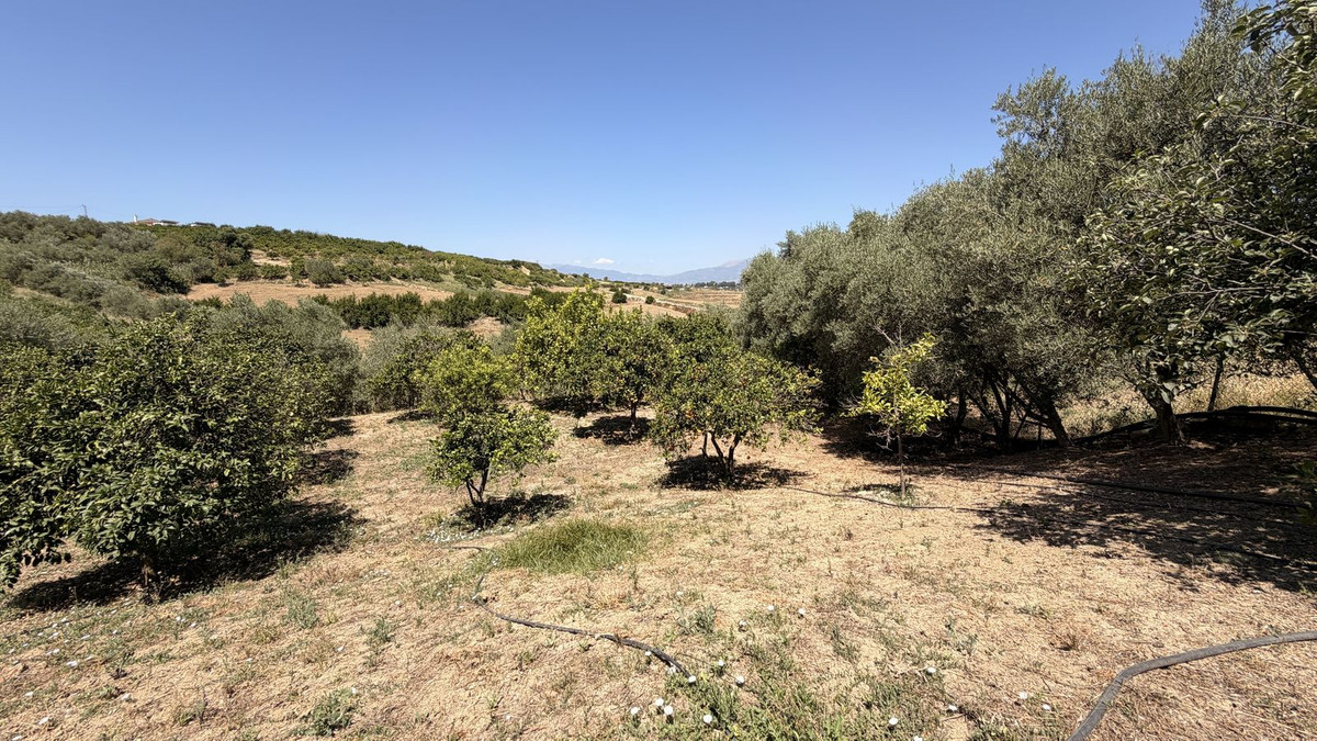 Property main view 30