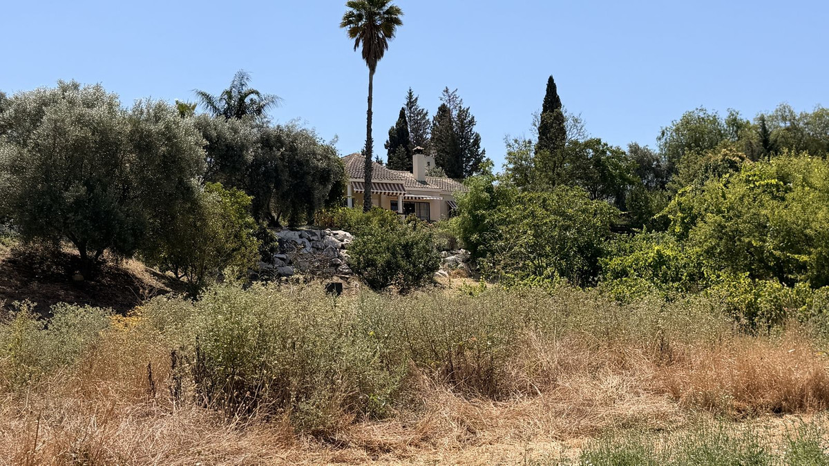 Property main view 34