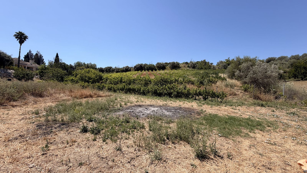 Property main view 35