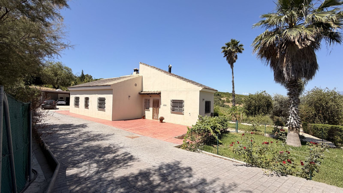 Property main view 42