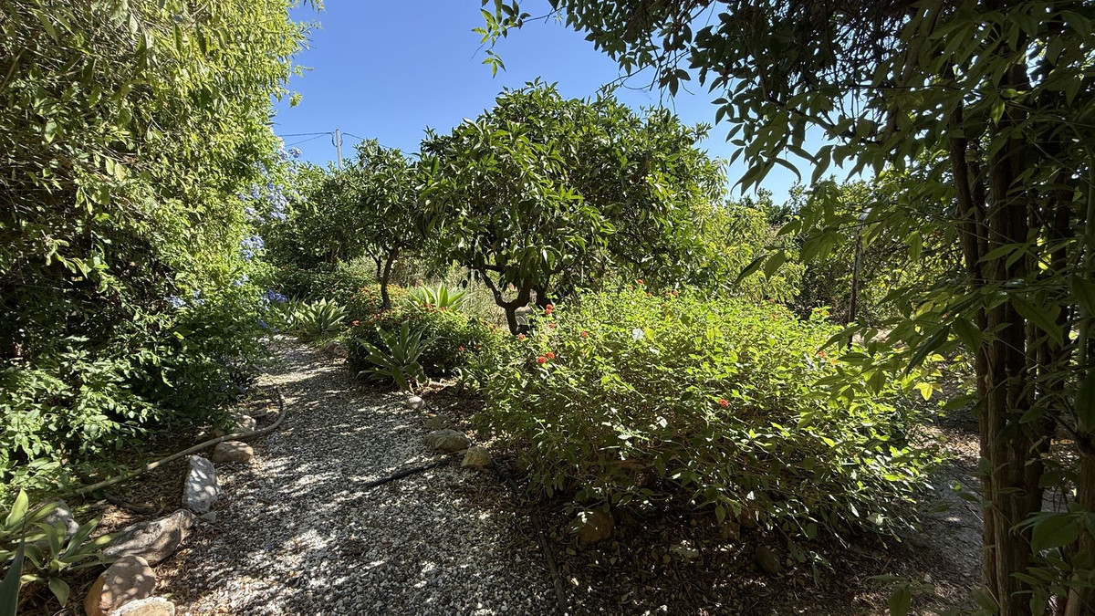 Property main view 8