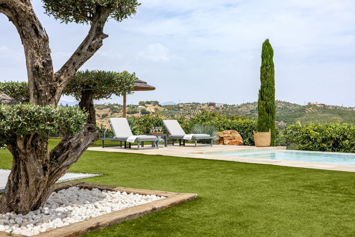 Property main view 42