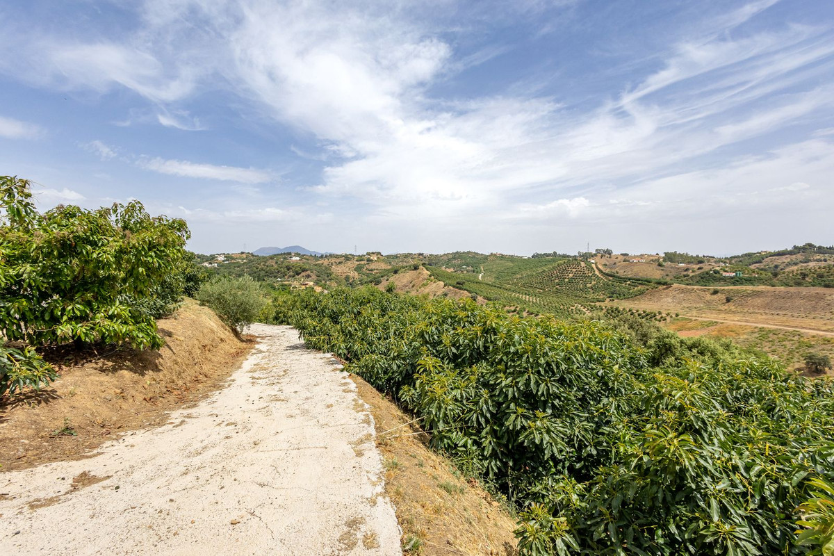 Property main view 47