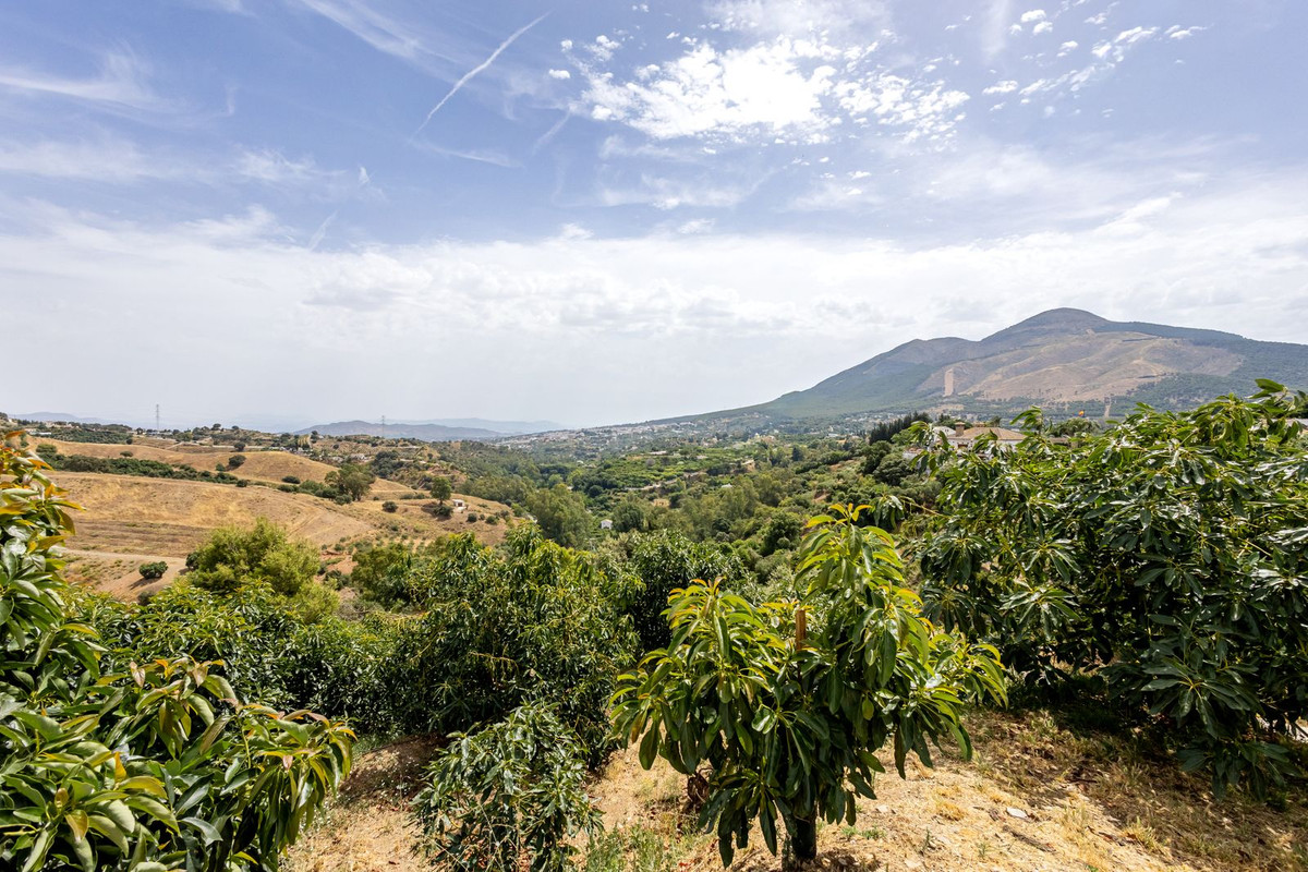 Property main view 48
