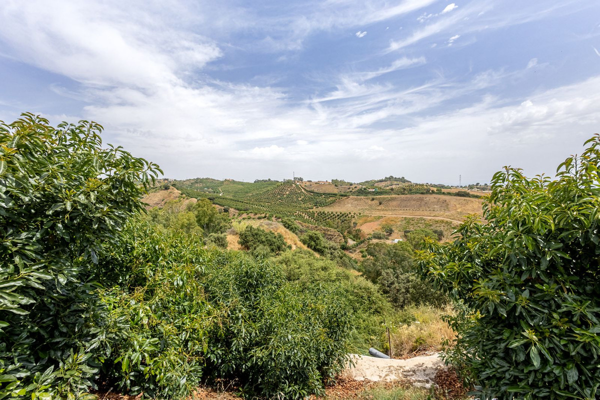 Property main view 50