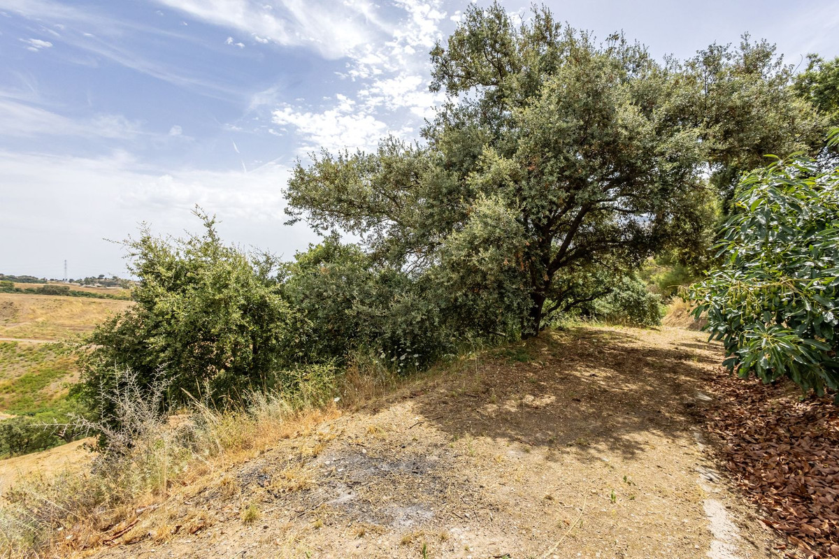 Property main view 51