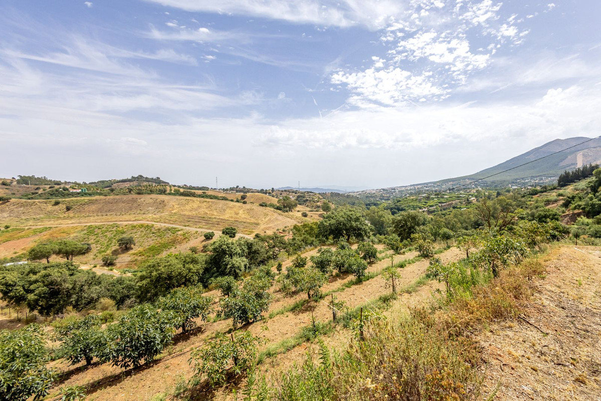 Property main view 52