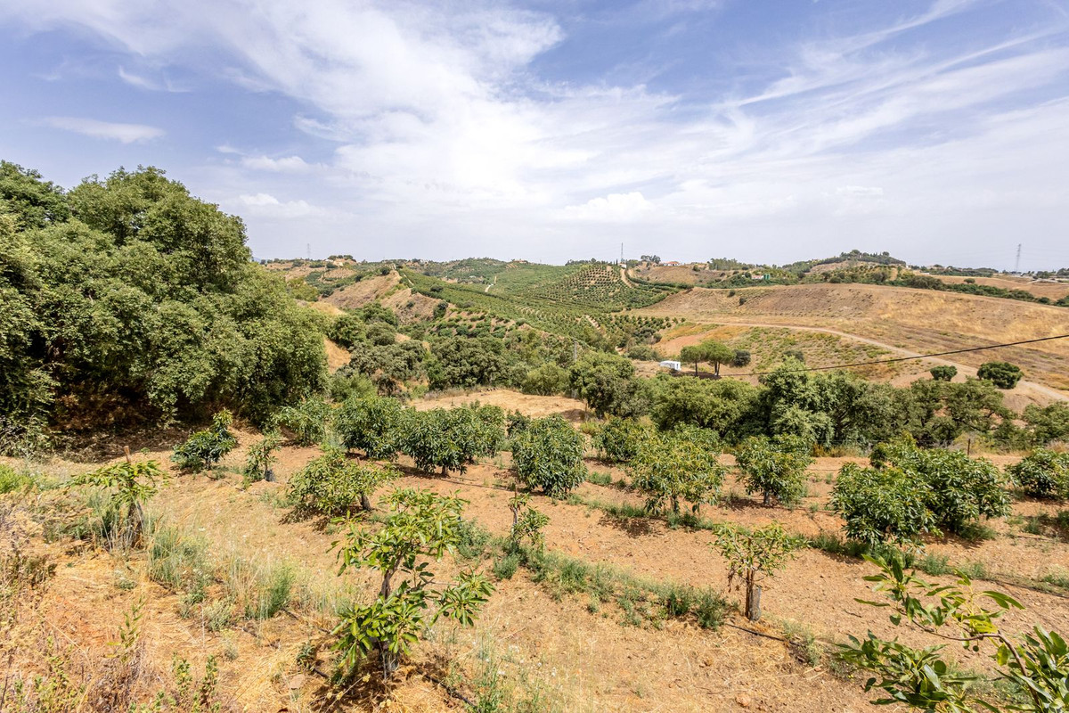 Property main view 53
