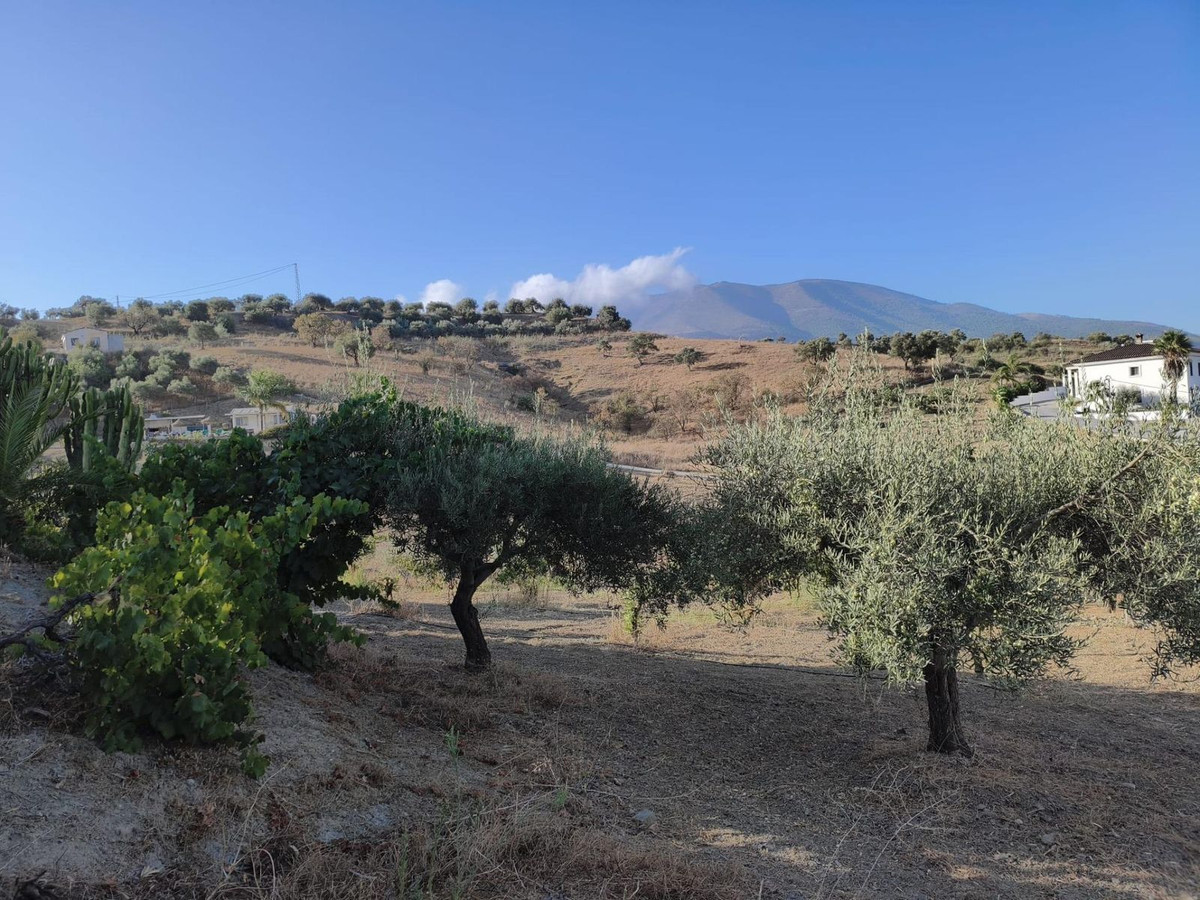 Grond te koop in Alhaurín el Grande | 3 slaapkamers H5486953
