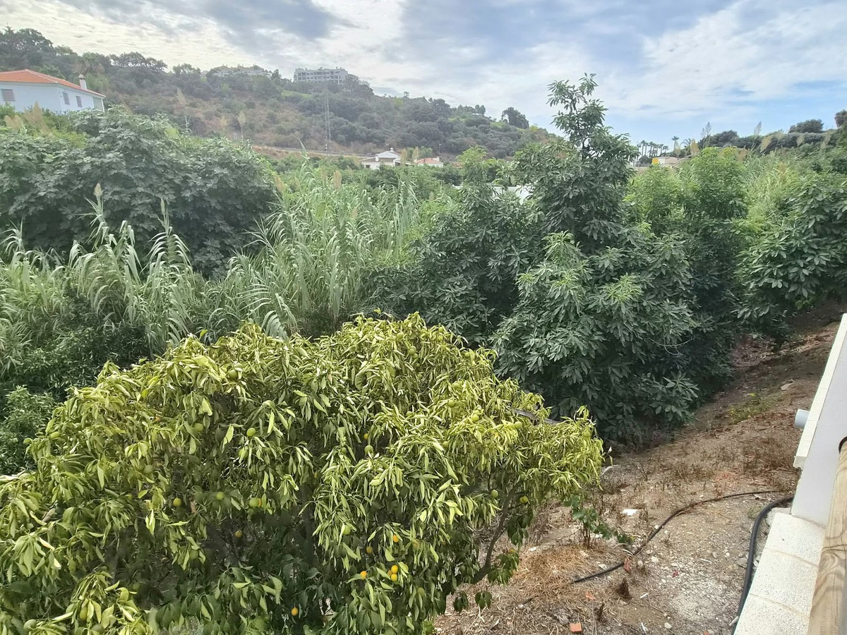 Property main view 41