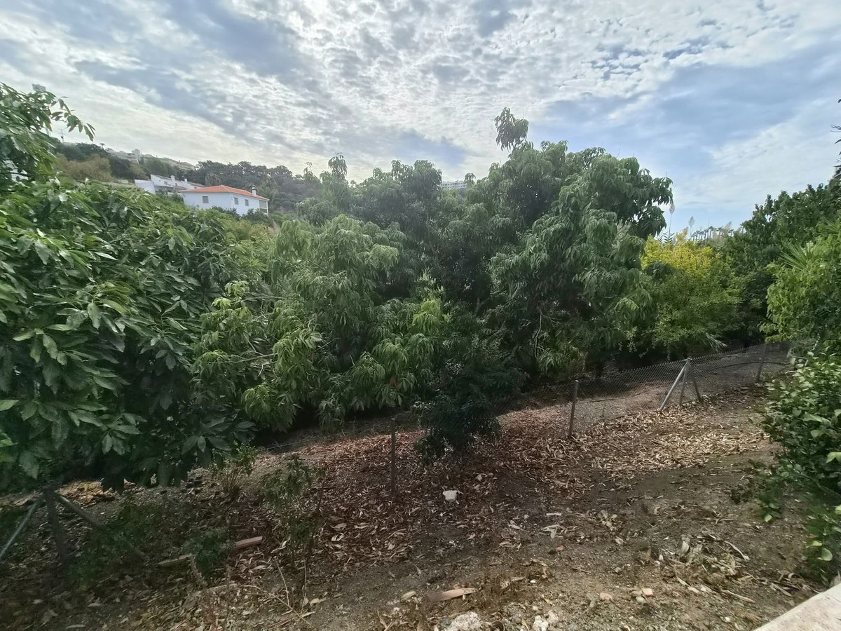 Property main view 42